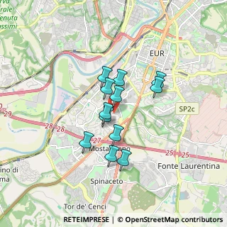 Mappa Via Caterina Troiani, 00144 Roma RM, Italia (1.315)