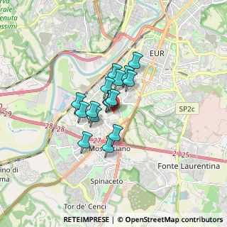 Mappa Via Caterina Troiani, 00144 Roma RM, Italia (1.10063)