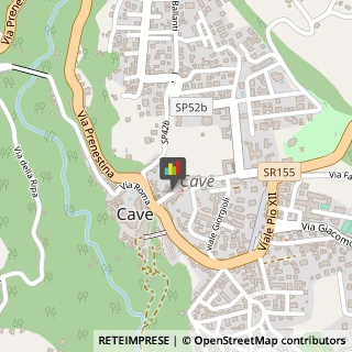 Professionali - Scuole Private Cave,00033Roma