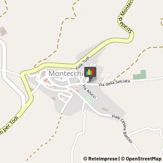 Aziende Sanitarie Locali (ASL) Montecchio,05020Terni