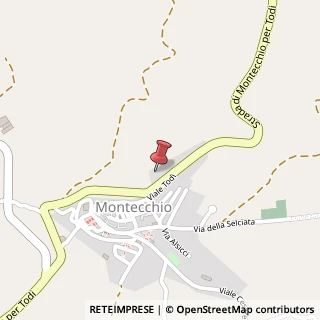 Mappa Via della Variante, 2, 05020 Montecchio, Terni (Umbria)