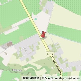 Mappa Strada Spinagallo, 57, 96100 Siracusa, Siracusa (Sicilia)