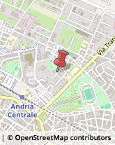 Viale Lorenzo Bernini, 55,76123Andria