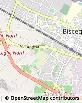 Impermeabilizzanti Bisceglie,76011Barletta-Andria-Trani