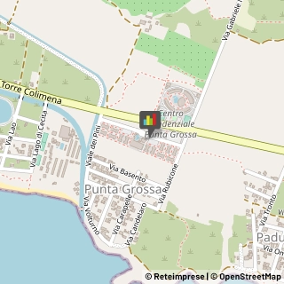 Sale Da Ballo e Dancing - Locali e Ritrovi,73010Lecce