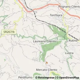Mappa Laureana Cilento