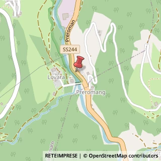Mappa Localita' lunz 77, 39030 San Martino in Badia, Bolzano (Trentino-Alto Adige)