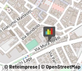 Palestre e Centri Fitness,48018Ravenna