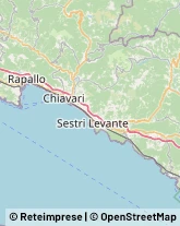 Macellerie Deiva Marina,19013La Spezia