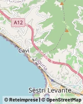 Macellerie Sestri Levante,16039Genova