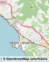 Alimentari Sestri Levante,16039Genova