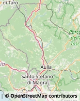 Autofficine e Centri Assistenza Pontremoli,54027Massa-Carrara