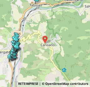 Mappa Carviano, 40038 Vergato BO, Italia (1.505)
