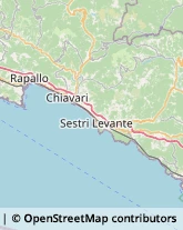 Articoli Sportivi - Dettaglio Deiva Marina,19014La Spezia