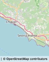 Articoli Sportivi - Dettaglio Chiavari,16043Genova