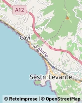 Panetterie Sestri Levante,16039Genova