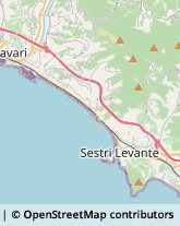 Assicurazioni Sestri Levante,16039Genova