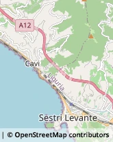 Imprese Edili Sestri Levante,16039Genova