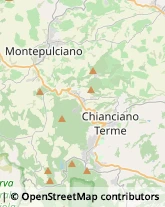 Agriturismi Chianciano Terme,53047Siena