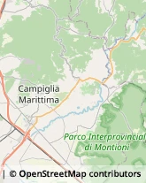 Aziende Agricole Campiglia Marittima,57021Livorno