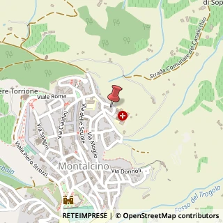 Mappa Piazza Dell' Ospedale, 1, 53024 Montalcino, Siena (Toscana)