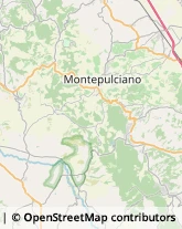 Locande e Camere Ammobiliate Montepulciano,53045Siena