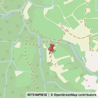 Mappa Podere Casanuova delle Cerbaie 335, 53024 Montalcino SI, Italia, 53024 Montalcino, Siena (Toscana)