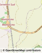 Ristoranti Montalcino,53024Siena