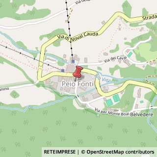 Mappa Via delle Acque Acidule, 22, 38024 Peio, Trento (Trentino-Alto Adige)