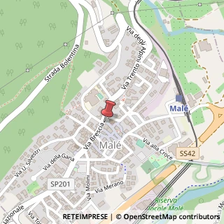 Mappa Piazza San Maria Assunta, 2, 38027 Malè, Trento (Trentino-Alto Adige)