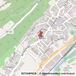 Mappa Via IV Novembre, 16, 38027 Malè, Trento (Trentino-Alto Adige)