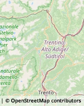 Articoli da Regalo - Dettaglio Mezzolombardo,38017Trento