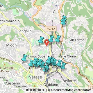 Mappa Via D. Montorfano, 21100 Varese VA, Italia (1.0115)