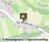 Autotrasporti,31030Treviso