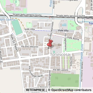 Mappa Via Resi Marinotti, 13C, 33050 Torviscosa, Udine (Friuli-Venezia Giulia)