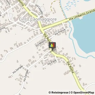 Assicurazioni Cinto Caomaggiore,30020Venezia