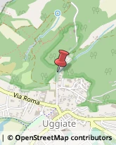 Via Somazzo, 30,22029Uggiate-Trevano