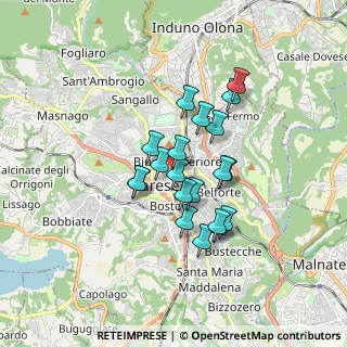 Mappa Via Luini Bernardino, 21100 Varese VA, Italia (1.299)