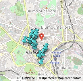 Mappa Via Giacomo Puccini, 21100 Varese VA, Italia (0.31421)