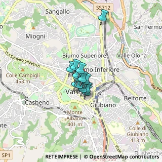 Mappa Via Donizetti Gaetano, 21100 Varese VA, Italia (0.38692)