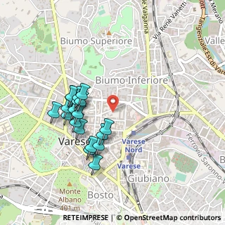 Mappa Via Bernardino Luini, 21100 Varese VA, Italia (0.42316)