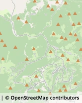 Estetiste Asiago,36012Vicenza