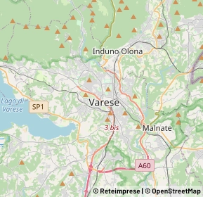 Mappa 21100 Varese VA, Italia (3.856)