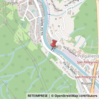 Mappa Via de Medici, 9, 24016 San Pellegrino Terme, Bergamo (Lombardia)