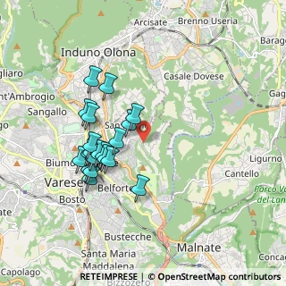 Mappa Via Vetta d'Italia, 21100 Varese VA, Italia (1.667)