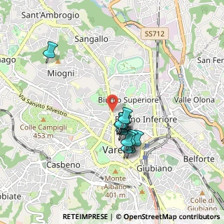 Mappa Viale Padre Gian Battista Aguggiari, 21100 Varese VA, Italia (0.70846)