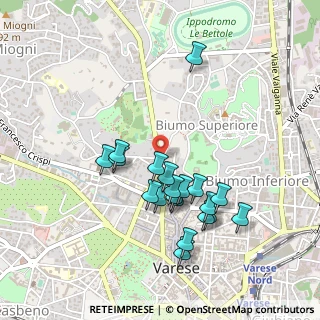 Mappa Viale Padre Gian Battista Aguggiari, 21100 Varese VA, Italia (0.4395)