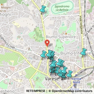 Mappa Viale Padre Gian Battista Aguggiari, 21100 Varese VA, Italia (0.5945)