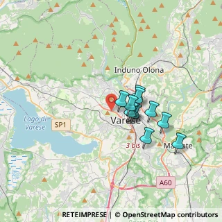 Mappa Via Silvestro Sanvito, 21100 Varese VA, Italia (2.50545)