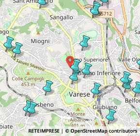 Mappa Via Fiume, 21100 Varese VA, Italia (1.411)
